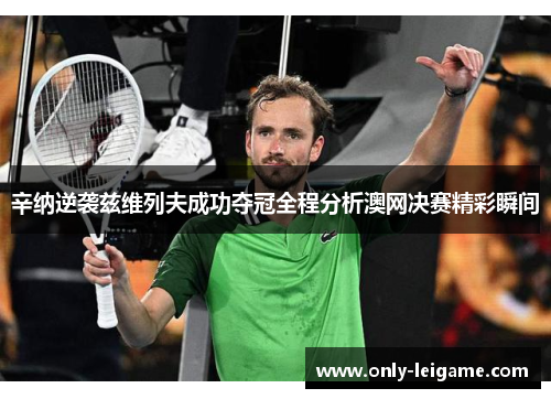 辛纳逆袭兹维列夫成功夺冠全程分析澳网决赛精彩瞬间 辛纳逆袭兹维列夫成功夺冠全程分析澳网决赛精彩瞬间
