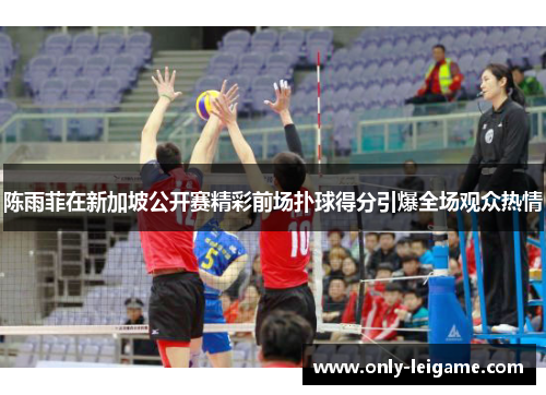 陈雨菲在新加坡公开赛精彩前场扑球得分引爆全场观众热情 陈雨菲在新加坡公开赛精彩前场扑球得分引爆全场观众热情