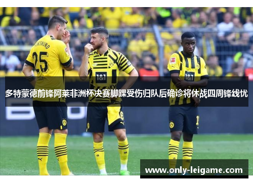 多特蒙德前锋阿莱非洲杯决赛脚踝受伤归队后确诊将休战四周锋线忧